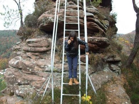 Schönau Haus Pfaffenfels 아파트 외부 사진