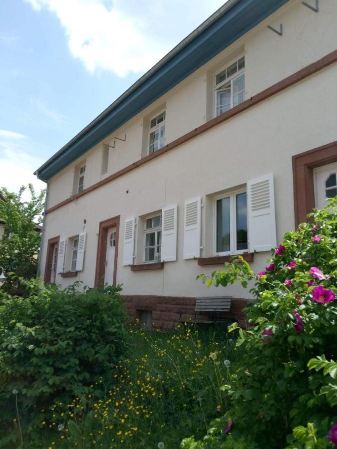 Schönau Haus Pfaffenfels 아파트 외부 사진